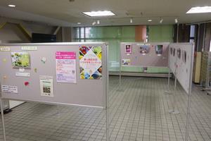 バラコン写真展示3
