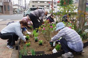 花deびゅうサイト3