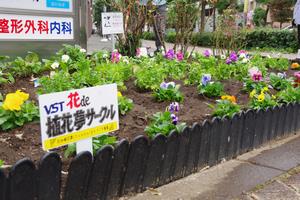 花deびゅうサイト5