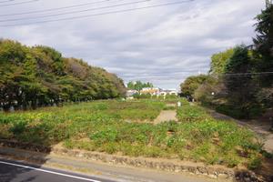 与野公園1