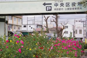 区役所周辺5
