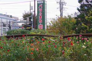 区役所周辺6