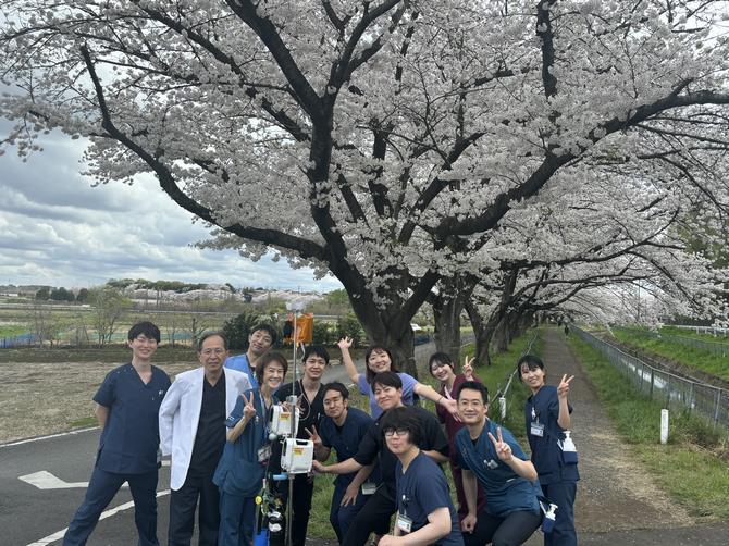 2024桜