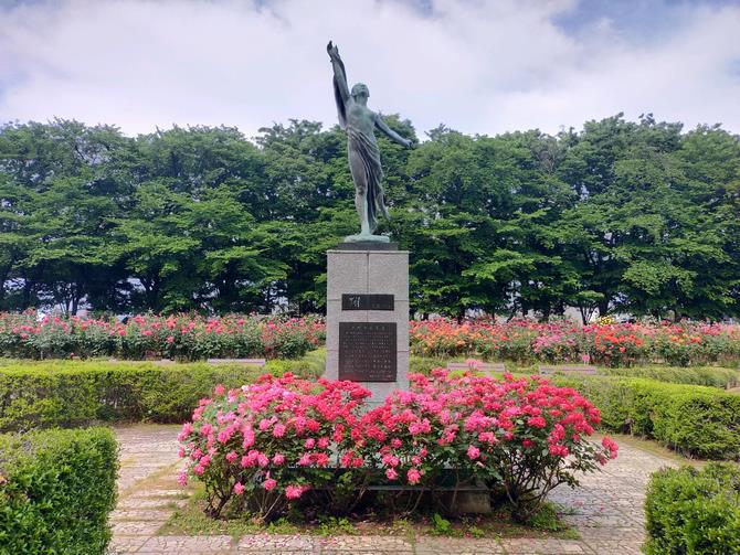 像