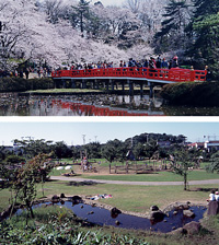 岩槻公園内の写真
