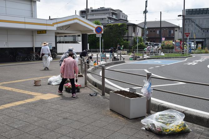 東岩槻　花の植え替え