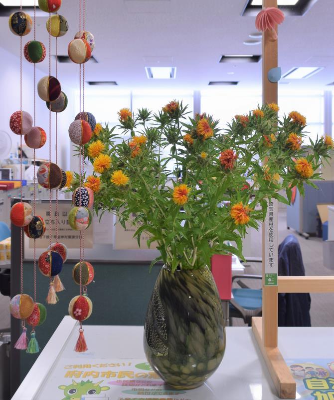 河北町　紅花
