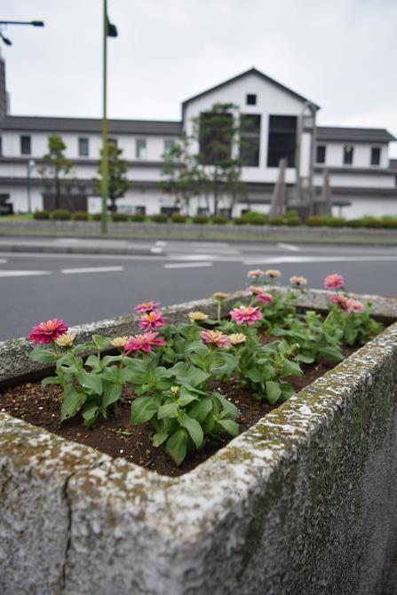 岩槻駅　花の植え替え