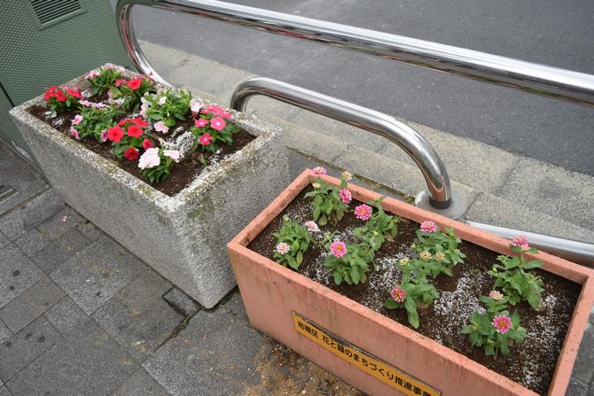 岩槻駅　花の植え替え