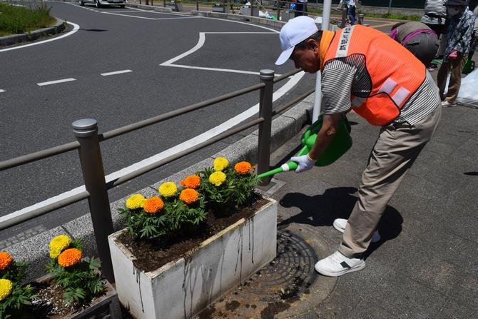 花の植え替え