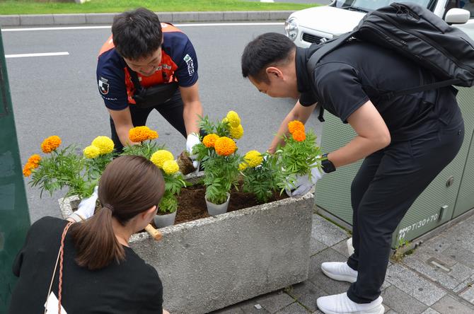 花の植え替え