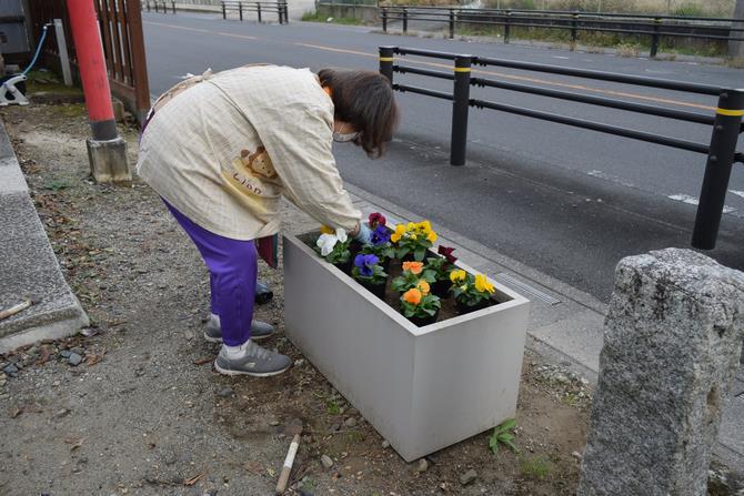 岩槻駅　花の植替