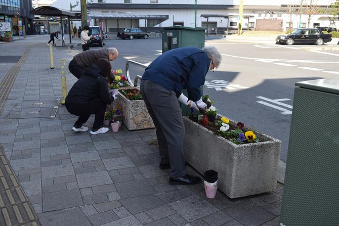 岩槻駅　花の植替