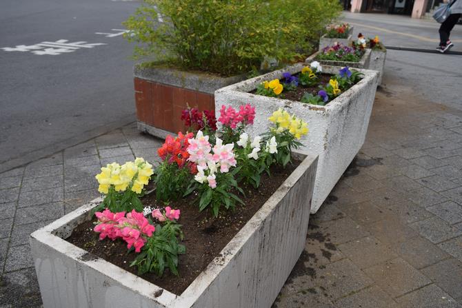 岩槻駅　花の植替
