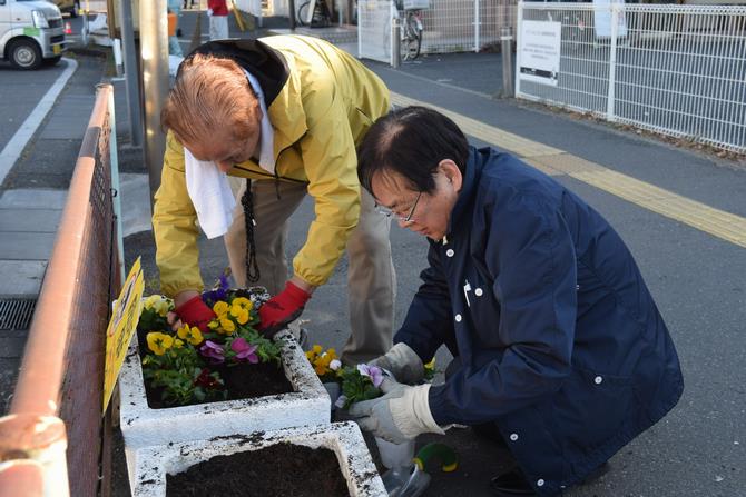 花の植替