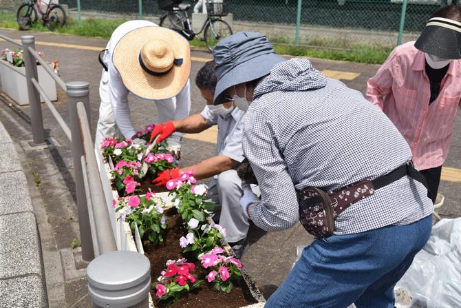 こんにちは区長です