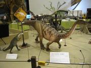 プラテオサウルス