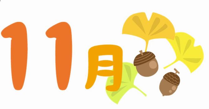 １１月