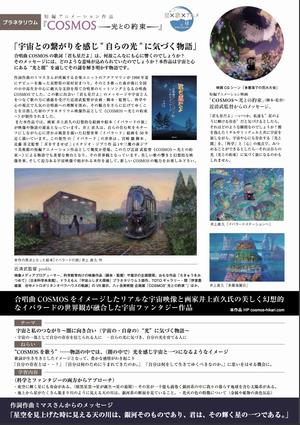 コスモス裏