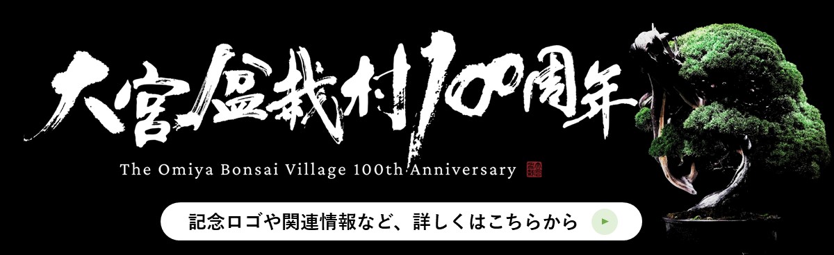 盆栽100周年