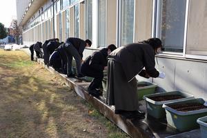 種まき（後発）➁