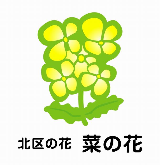 北区の花菜の花のイラスト