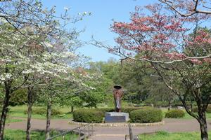 見沼氷川公園