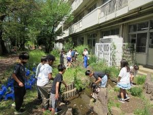 写真1.
