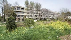写真20.