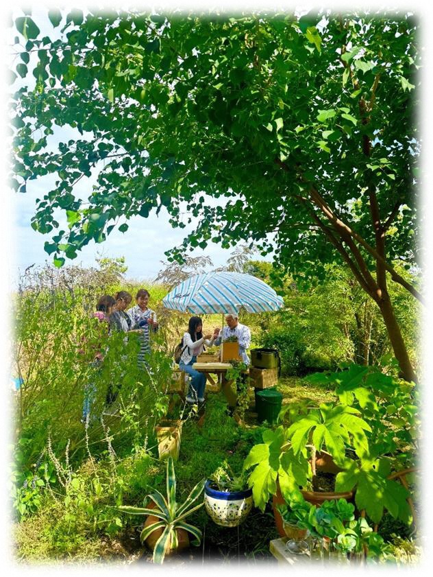 ワークショップ（森ガーデン）