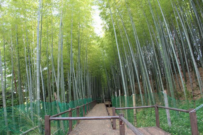 見沼通船堀公園