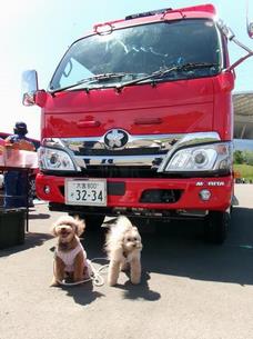 第3回 Wish Wish fes．
