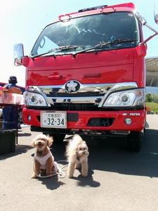 第3回 Wish Wish fes.
