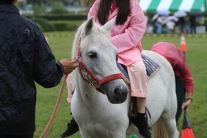 ポニー
