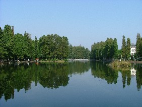 別所沼公園写真
