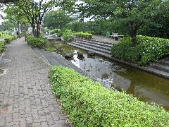 六辻水辺公園写真