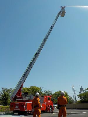 minami_ladder