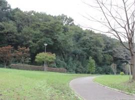 染谷ふるさとの緑の景観地2