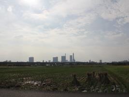 上山口新田の田んぼ