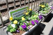 大和田駅2