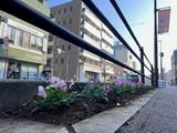 東大宮1