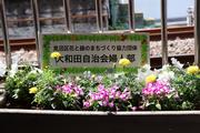 大和田駅2