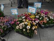 みぬマルシェ2.