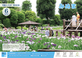 市報6月号見沼区版表紙