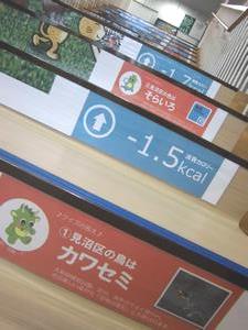 区のシンボルクイズ答え
