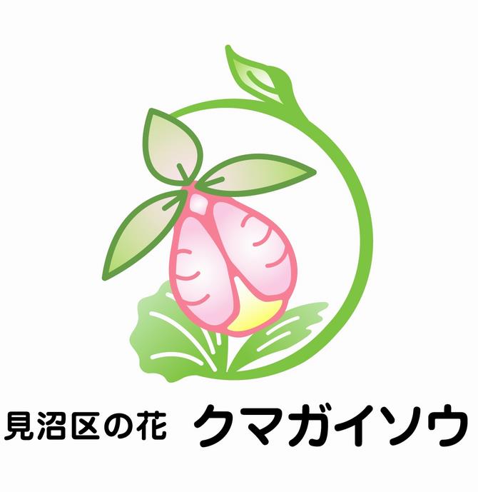 見沼区の花クマガイソウのイラスト