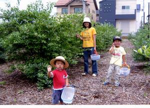 野原観光農園