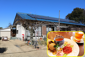 青い屋根