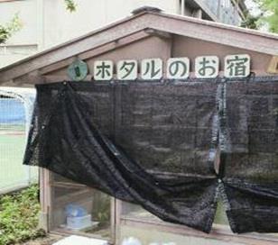 まちづくり