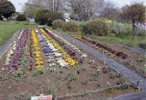 花壇